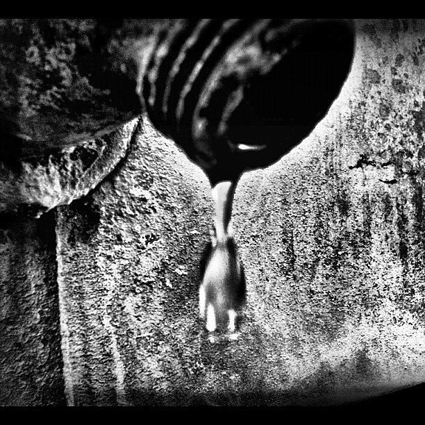 Music Photograph - the Underground Drip..was Just Like by Carrie Mroczkowski