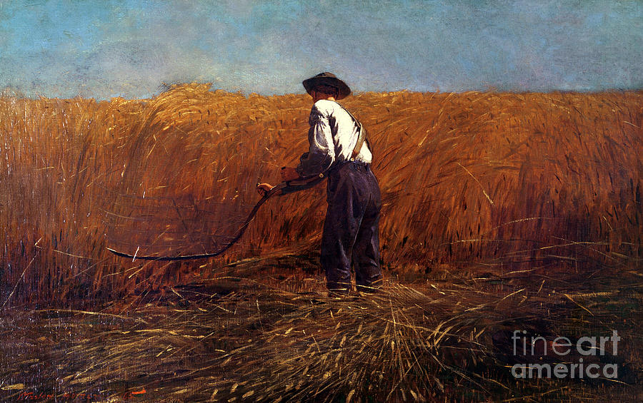 The Veteran in a New Field by Winslow Homer Painting by Winslow Homer