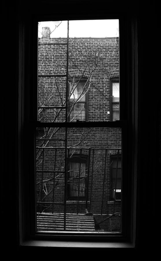 The View at 155th Street Photograph by Mary Capriole