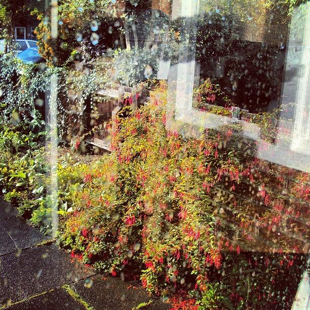 Beautiful Photograph - The View From My Window, #cambridge #uk by Abdelrahman Alawwad Beautiful Photograph - The View From My Window, #cambridge #uk by Abdelrahman Alawwad