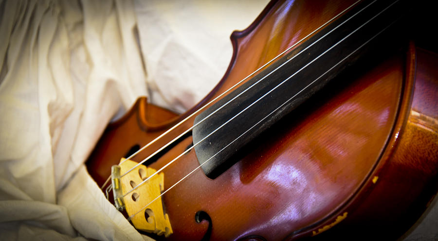 The Violin Photograph by Carolyn Marshall