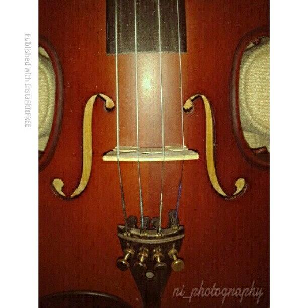 Music Photograph - The Violin by Nadiyah Ishak