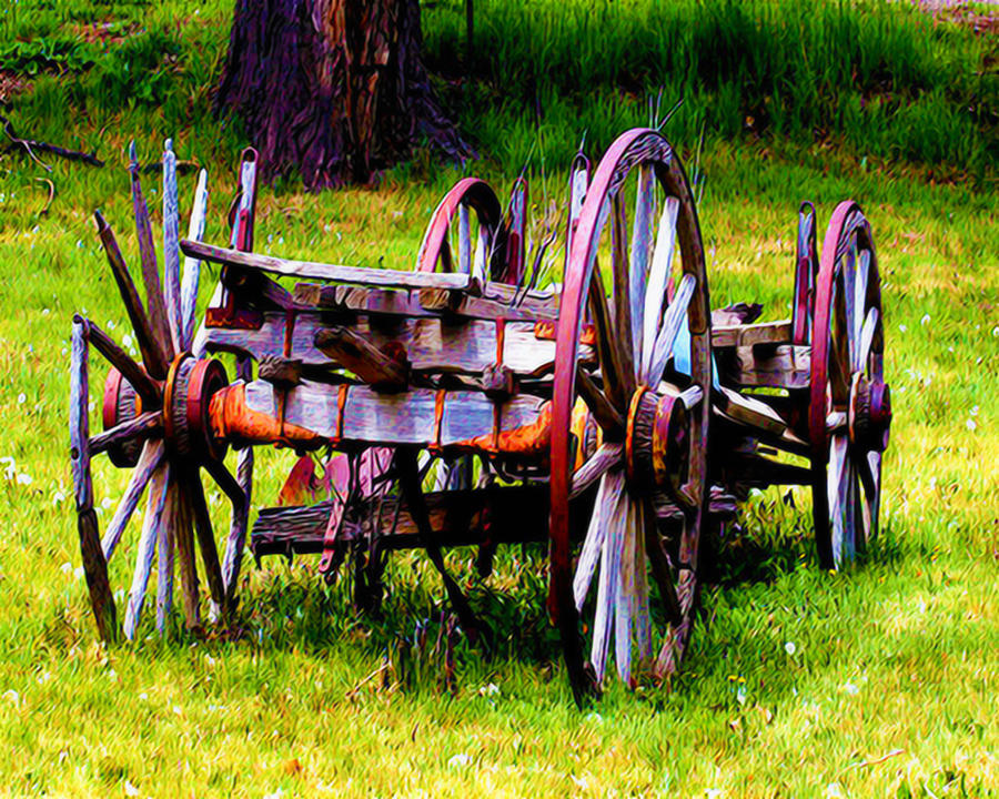 The Wagon at El Prado Photograph by Terry Fiala