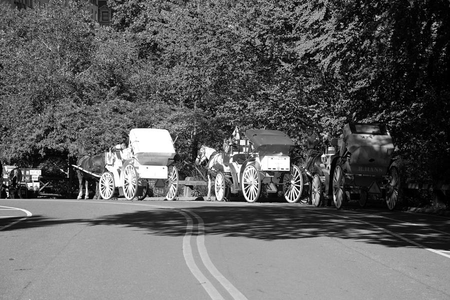Central Park Photograph - THE WAIT in BLACK AND WHITE by Rob Hans