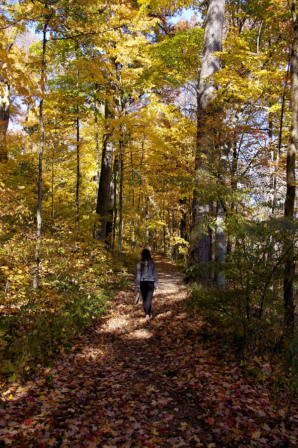 Fall Photograph - The Walk Home by Susan Morris