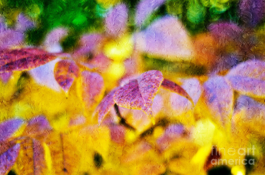 The Warmth of Autumn Glow Abstract Photograph by Andee Design