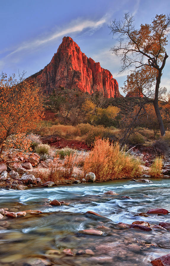 The Watchman Photograph by Beth Sargent
