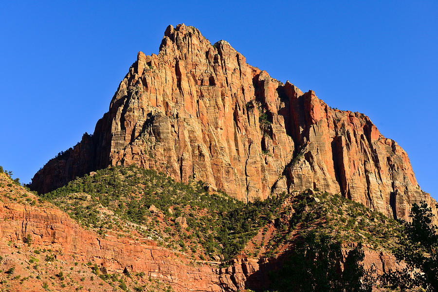The Watchman Photograph by Greg Norrell