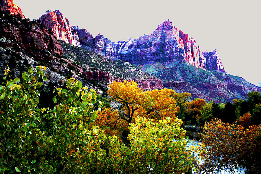 The Watchman Photograph by Patricia Haynes