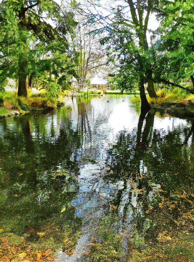 The Water Garden Photograph