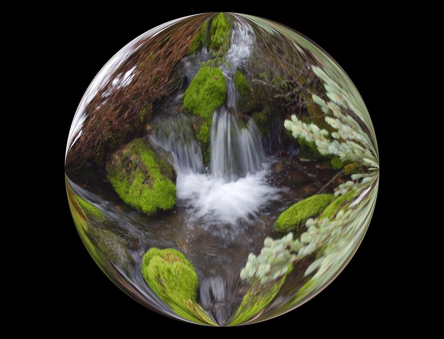Tree Photograph - The Waterfall by Yvette Pichette