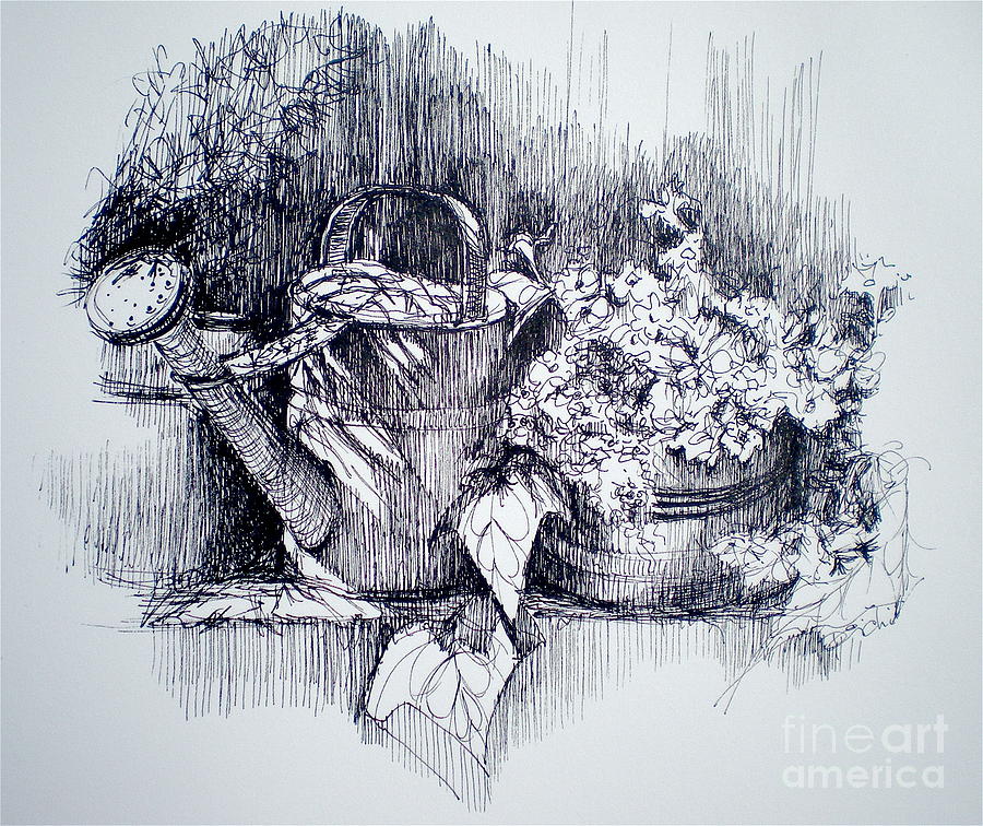 Still Life Drawing - The Watering Can by Dominique Eichi