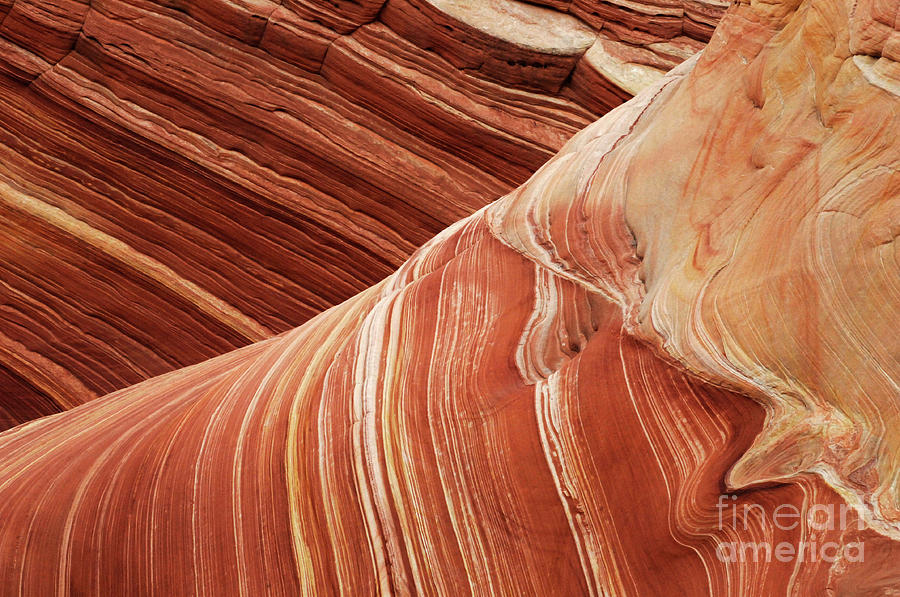 Nature Photograph - The Wave Beauty Of Sandstone by Bob Christopher