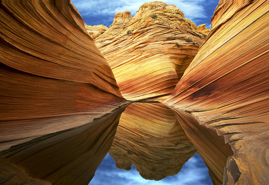 The Wave Reflection Photograph by Joe  Palermo