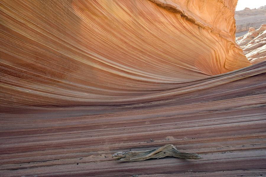 Pattern Photograph - The Wave Rock Formation, Arizona, Usa by Bob Gibbons