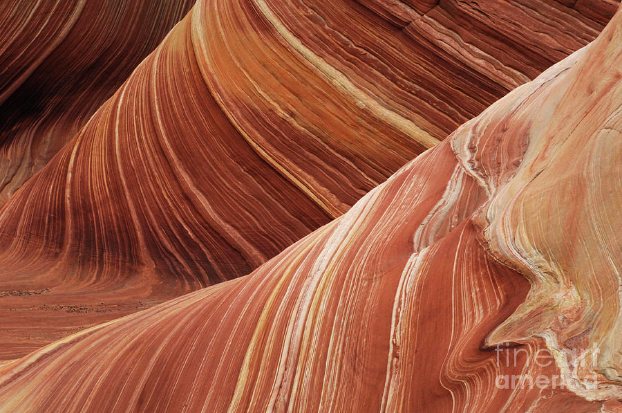 The Wave Sandstone Magic Photograph by Bob Christopher