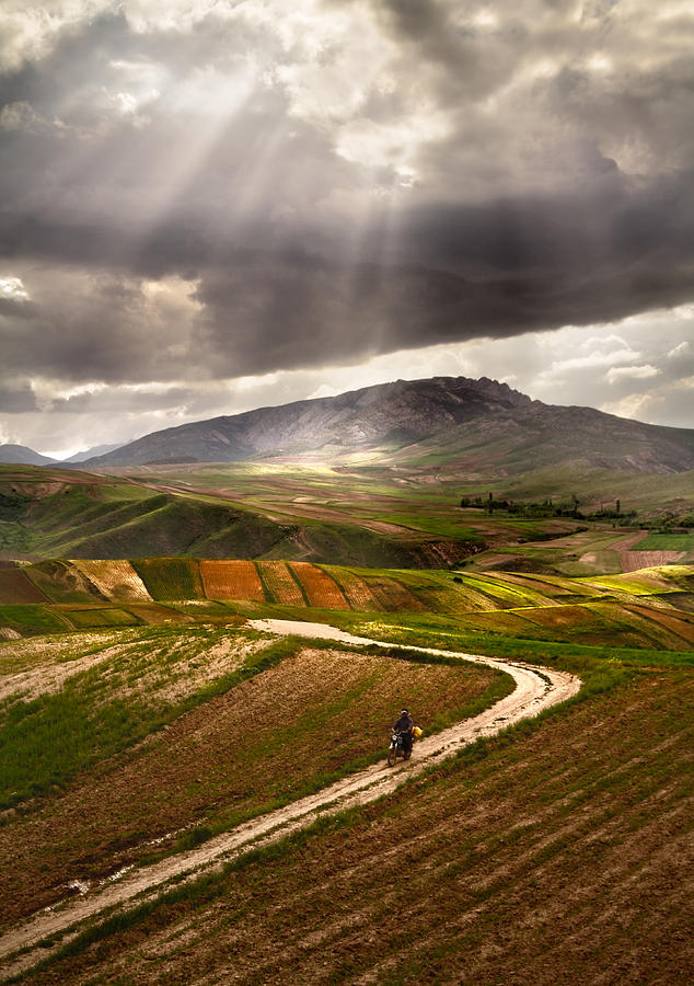 Landscape Photograph - The way home by Hamid Reza Farzandian