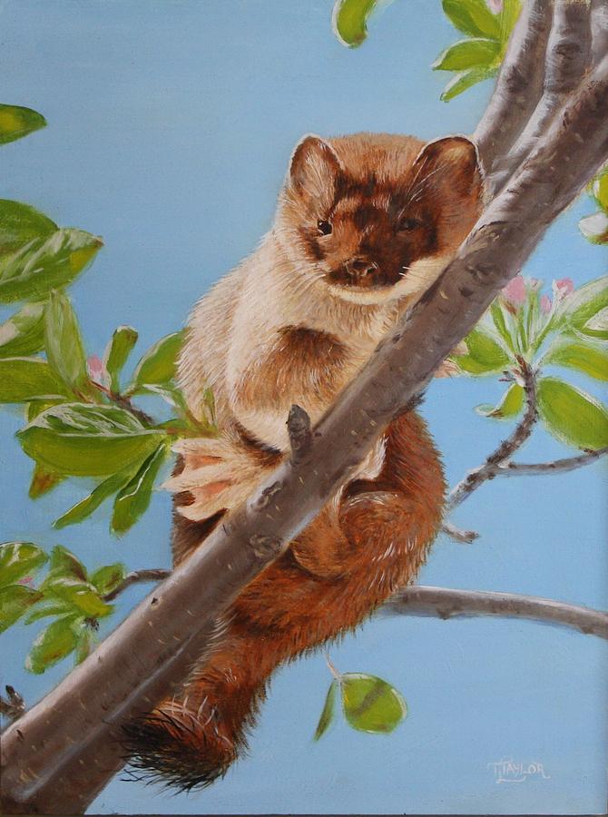 The Weasel Painting by Tammy Taylor