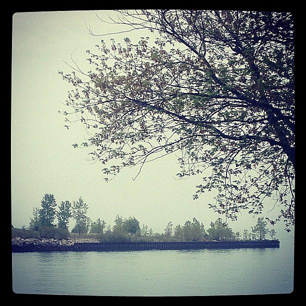 The Weather Is So Foggy That Even Lake Photograph by Bahar Yuksel