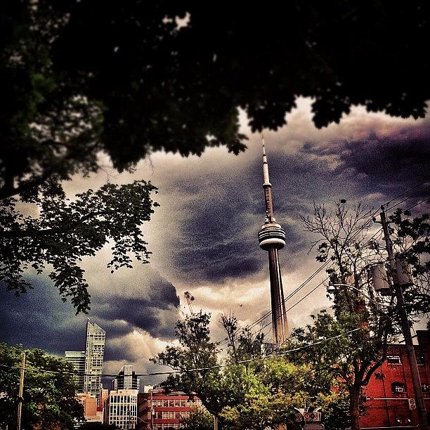 Toronto Photograph - The Weather Outside Is Weather by Marayna Dickinson