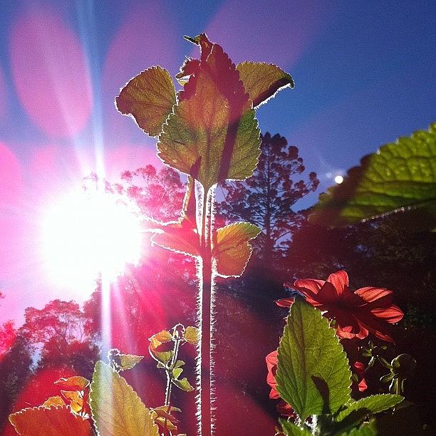 The Weather Right Now - Glorious Autumn Photograph by Ellie B