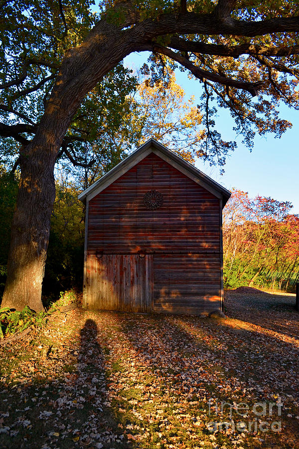 The Weathered Shed Photograph by Sue Stefanowicz
