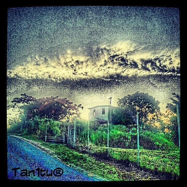 Nature Photograph - The whatever Fish Cloud #puertorico by Tania Torres