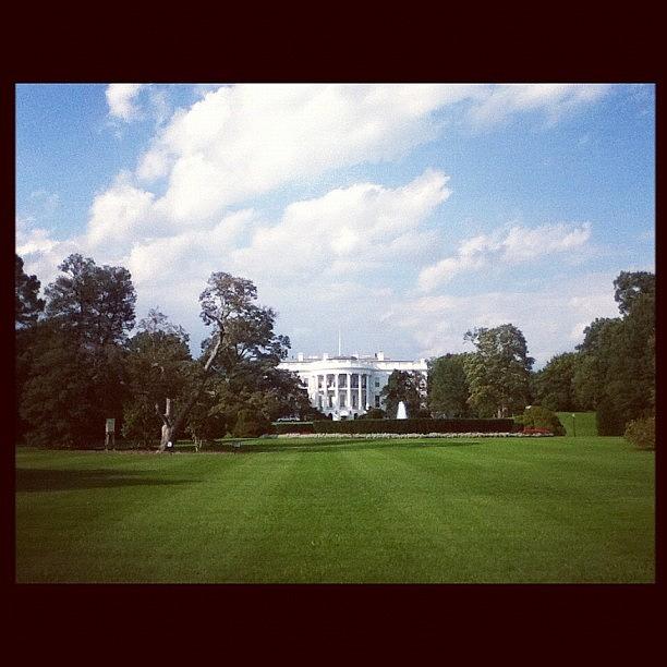 The White House 2 Weeks Ago Photograph by Tanya Pillay
