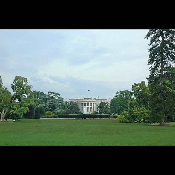 Whitehouse Photograph - The White House #whitehouse by Brolin Roney