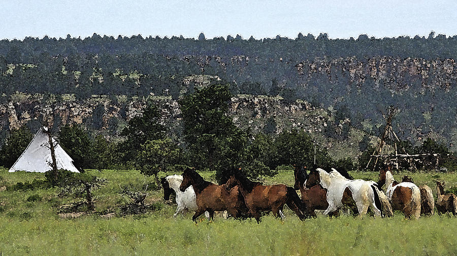 The Wild Mustangs in the Black Hills Photograph by Kate Purdy