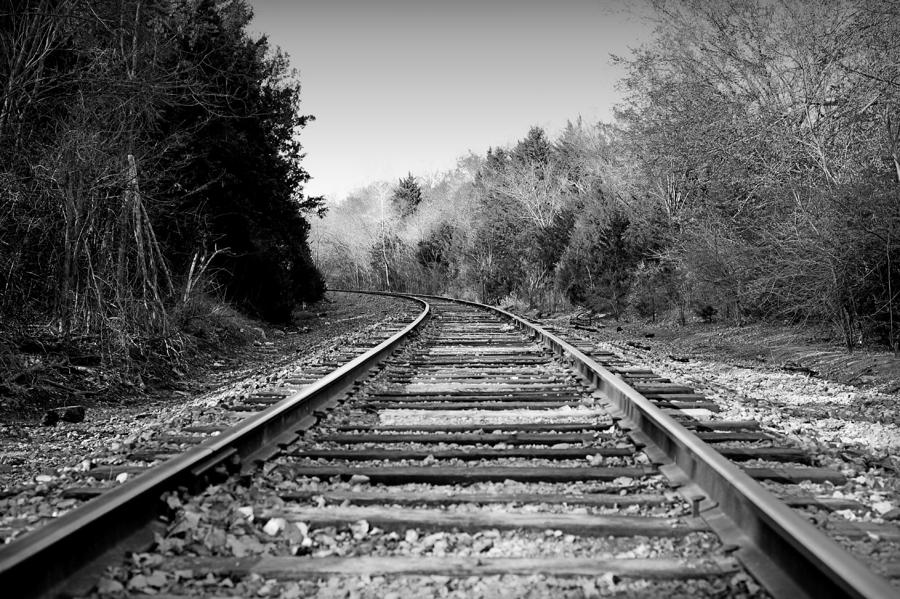 The Winding Path Photograph by Malania Hammer - Pixels