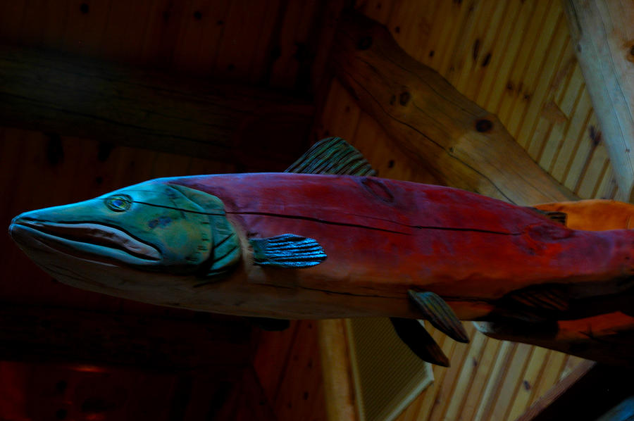 The Wooden Rainbow Trout Photograph by LeeAnn McLaneGoetz McLaneGoetzStudioLLCcom