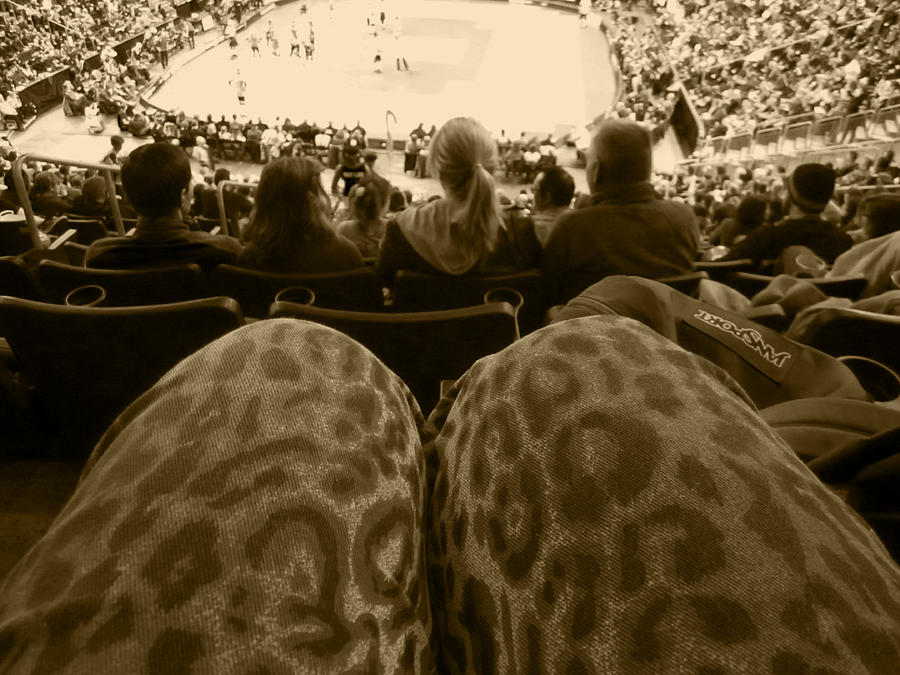 The World Thru Leopard Printed Pants Photograph by Kym Backland