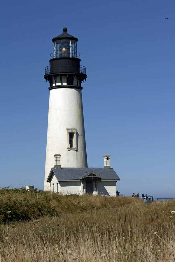 The Yaquina Head Light Photograph by Chris Anderson | Fine Art America