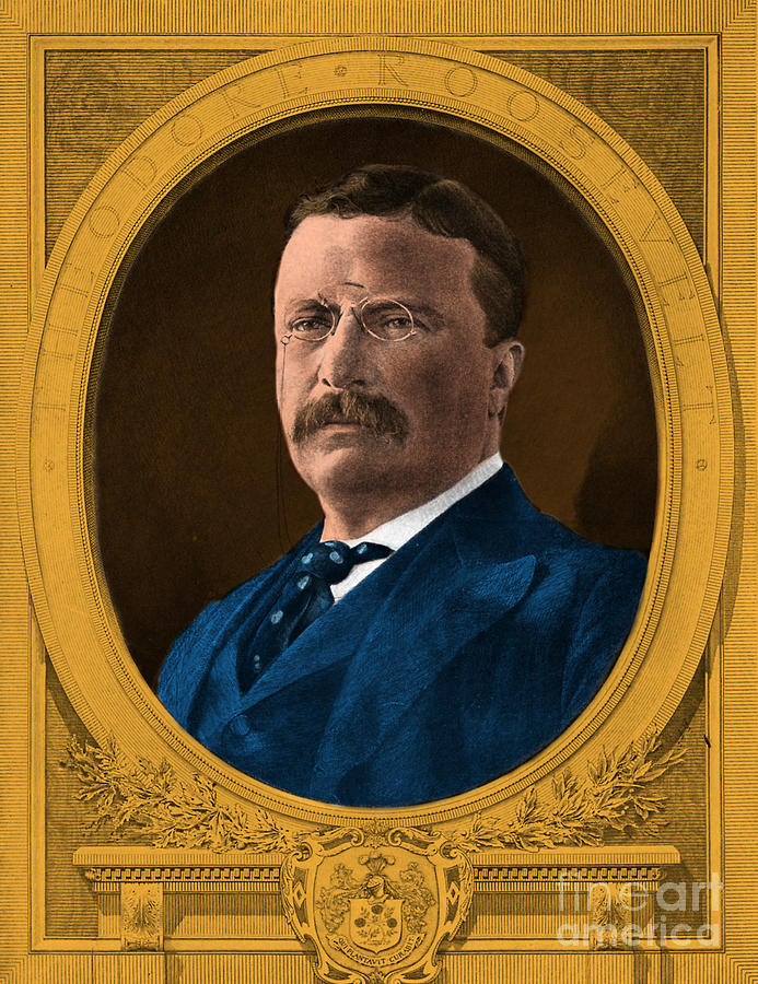 Theodore Roosevelt, 26th American Photograph by Science Source