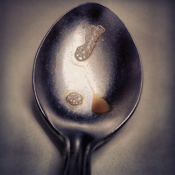 There Is No Spoon! Photograph by Nikhil Idicula