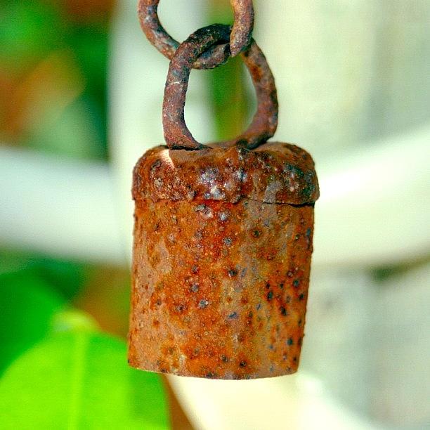 There Is This Rusty Old Bell That Hangs Photograph by Vicki Damato