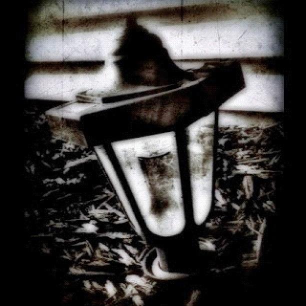 Lantern Still Life Photograph - theres Something So Attractive by Carrie Mroczkowski