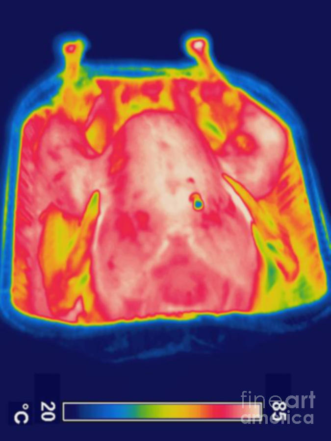 Thermogram Of A Baked Turkey Photograph by Ted Kinsman