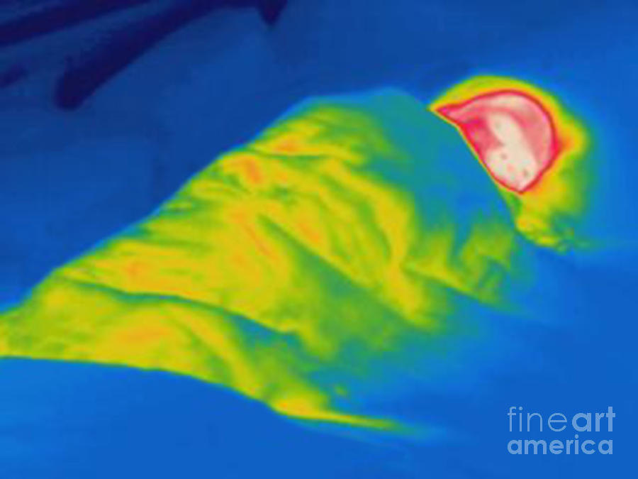 Thermogram Of A Child Sleeping Photograph by Ted Kinsman
