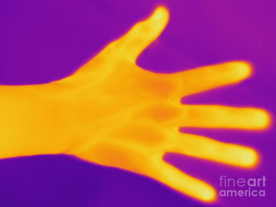 Thermogram Of A Hand Photograph by Ted Kinsman