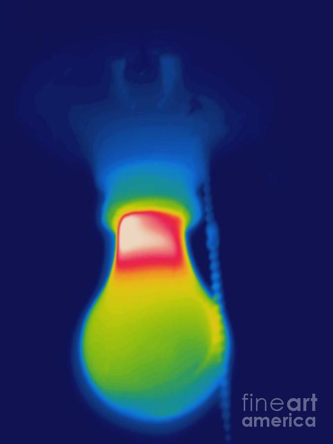 Thermogram Of A Light Bulb Photograph by Ted Kinsman