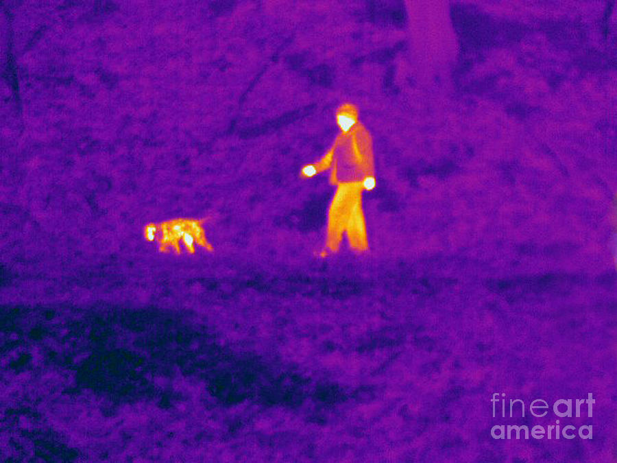 Thermogram Of A Man And Dog Photograph by Ted Kinsman