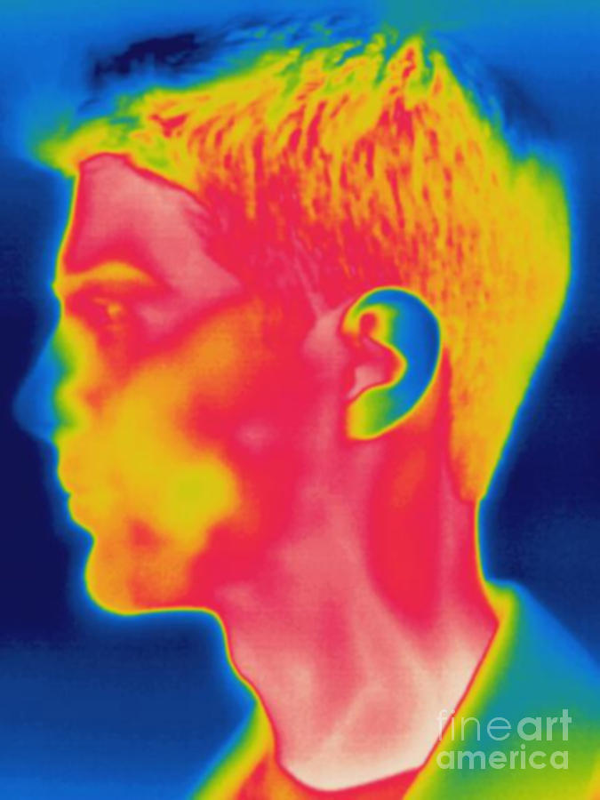 Thermogram Of A Mans Face Photograph by Ted Kinsman