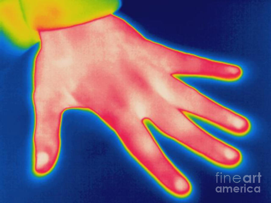 Thermogram Of Hand Photograph by Ted Kinsman
