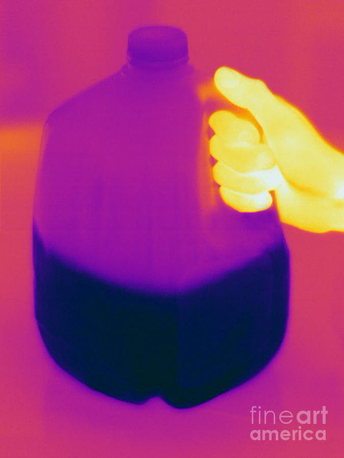 Thermogram Of Milk Jug Photograph by Ted Kinsman