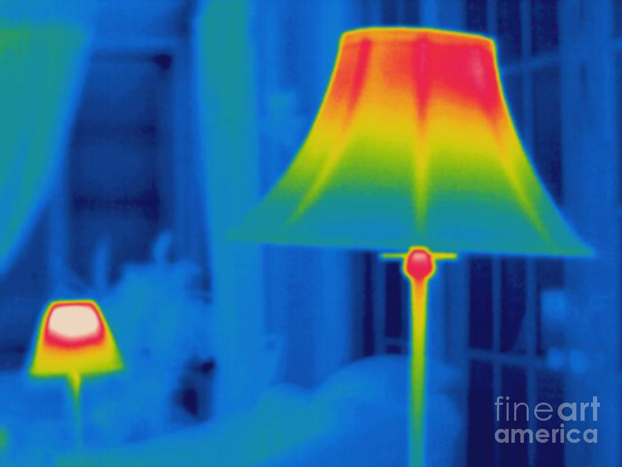 Thermogram Of Two Lamps Photograph by Ted Kinsman