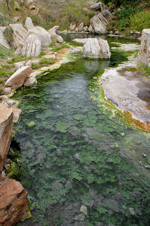 Thermopolis Hot Springs Photograph by Geraldine Alexander