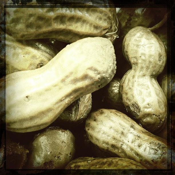 Hipstamatic Photograph - These Farmers Market Boiled Peanuts by Elizabeth Fitzgerald