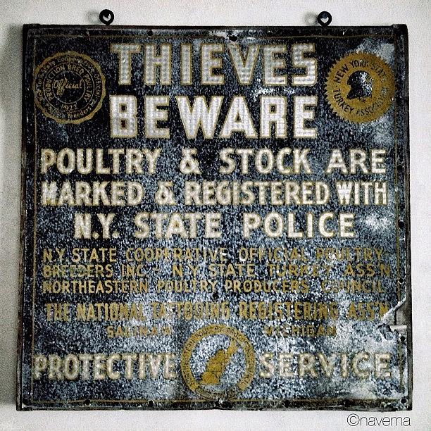 Typography Photograph - Thieves Beware by Natasha Marco